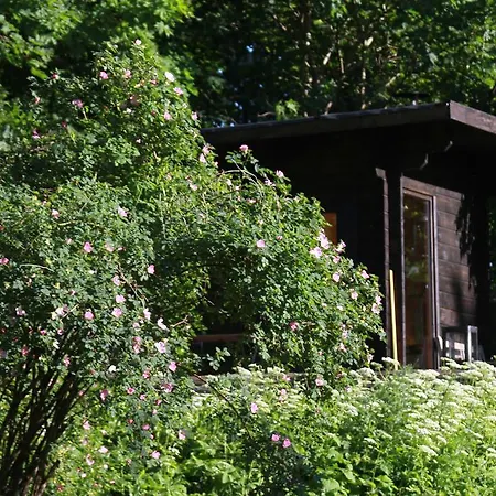 Vahtrapuu Holiday