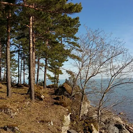 Vahtrapuu Holiday Ferienhaus *
